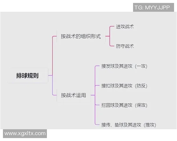 北京排球队进攻战术深度解析与未来发展趋势探讨